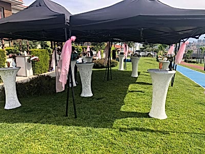 Nikah Kokteyli