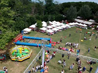 Piknik Organizasyonları